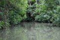 (33) Le Marais Poitevin